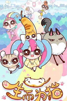 灞桥区seo优化推广